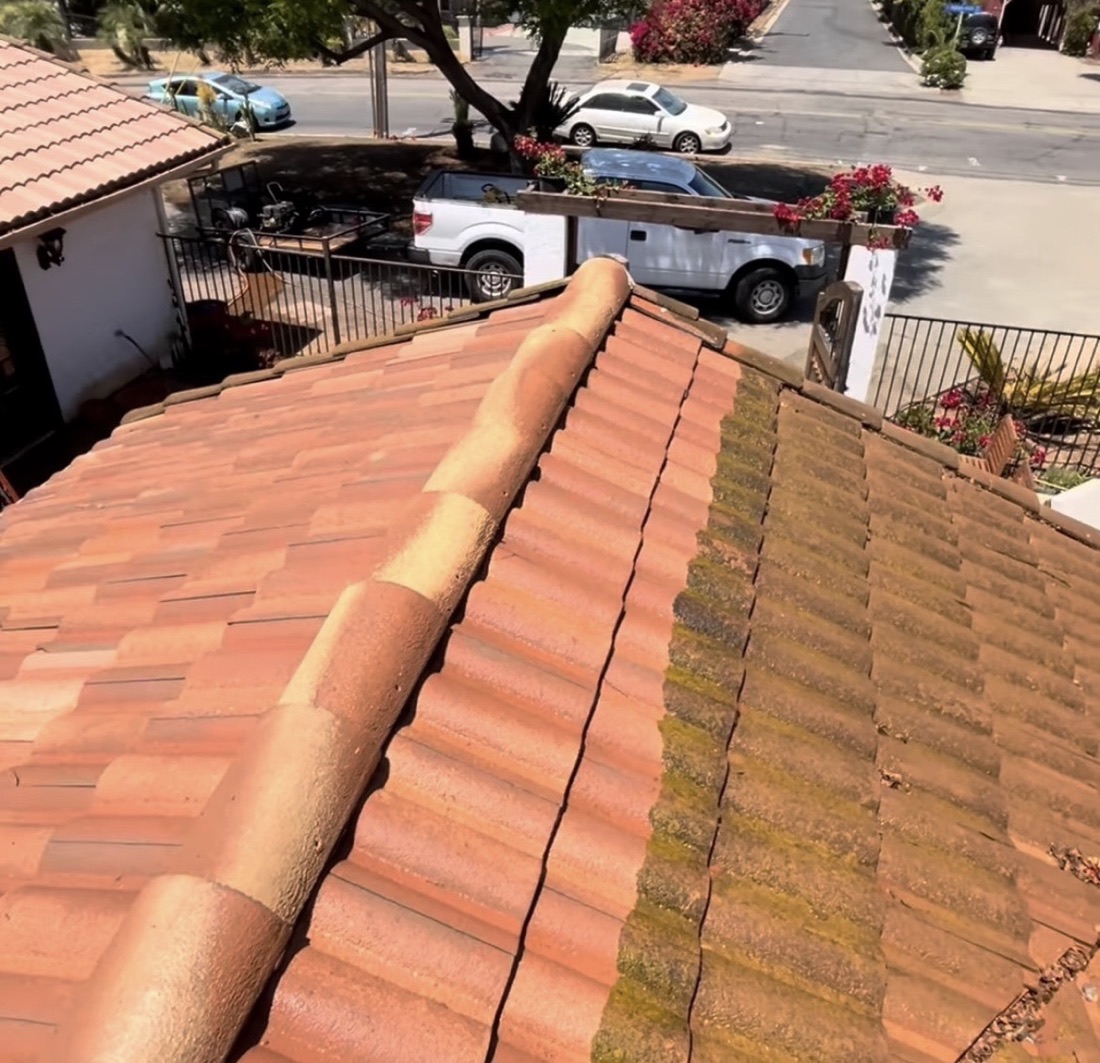 Clay tile roof partway through cleaning, clean tiles beside tiles still covered in growth